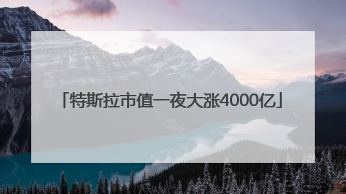 特斯拉市值一夜大涨4000亿