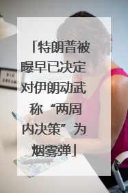 特朗普被曝早已决定对伊朗动武 称“两周内决策”为烟雾弹