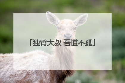 独臂大叔 吾道不孤
