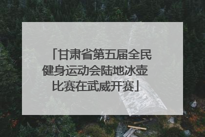 甘肃省第五届全民健身运动会陆地冰壶比赛在武威开赛