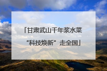 甘肃武山千年浆水菜“科技焕新”走全国