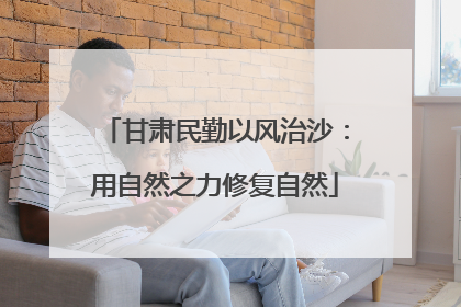 甘肃民勤以风治沙：用自然之力修复自然
