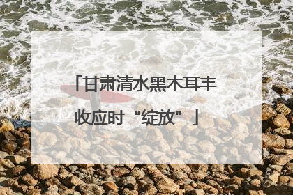 甘肃清水黑木耳丰收应时“绽放”
