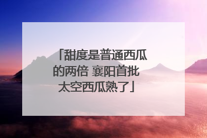甜度是普通西瓜的两倍 襄阳首批太空西瓜熟了