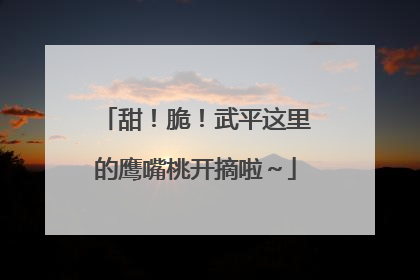 甜！脆！武平这里的鹰嘴桃开摘啦～