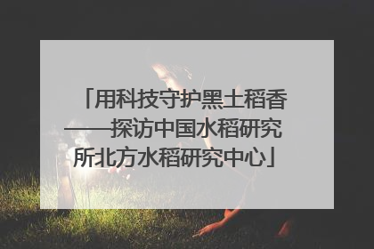 用科技守护黑土稻香——探访中国水稻研究所北方水稻研究中心