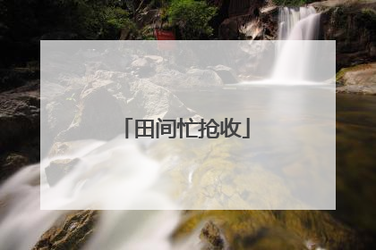 田间忙抢收