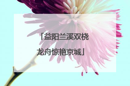 益阳兰溪双桡龙舟惊艳京城
