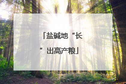 盐碱地“长”出高产粮