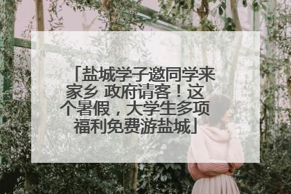 盐城学子邀同学来家乡 政府请客！这个暑假，大学生多项福利免费游盐城