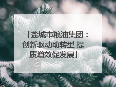 盐城市粮油集团：创新驱动助转型 提质增效促发展
