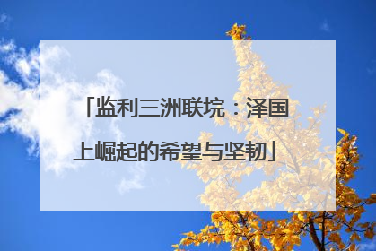 监利三洲联垸：泽国上崛起的希望与坚韧