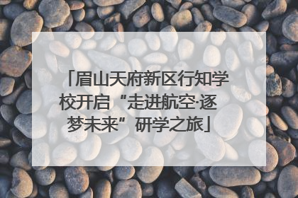 眉山天府新区行知学校开启“走进航空·逐梦未来”研学之旅