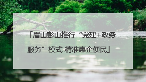 眉山彭山推行“党建+政务服务”模式 精准惠企便民