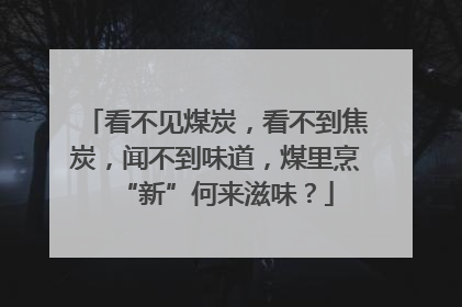 看不见煤炭，看不到焦炭，闻不到味道，煤里烹“新”何来滋味？