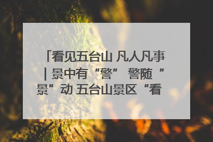 看见五台山 凡人凡事｜景中有“警” 警随“景”动 五台山景区“看得见”的平安守护