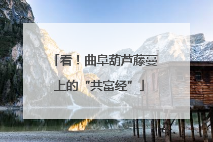 看！曲阜葫芦藤蔓上的“共富经”