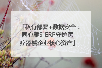 私有部署+数据安全：同心雁S-ERP守护医疗器械企业核心资产