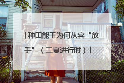 种田能手为何从容“放手”（三夏进行时）