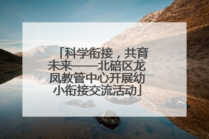 科学衔接，共育未来——北碚区龙凤教管中心开展幼小衔接交流活动