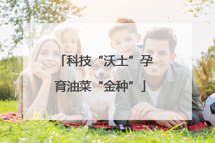 科技“沃土”孕育油菜“金种”