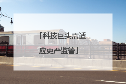 科技巨头需适应更严监管