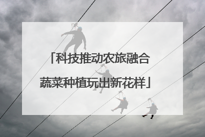科技推动农旅融合 蔬菜种植玩出新花样