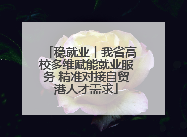 稳就业丨我省高校多维赋能就业服务 精准对接自贸港人才需求