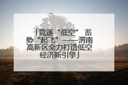 竞逐“低空” 蓄势“起飞”——渭南高新区全力打造低空经济新引擎