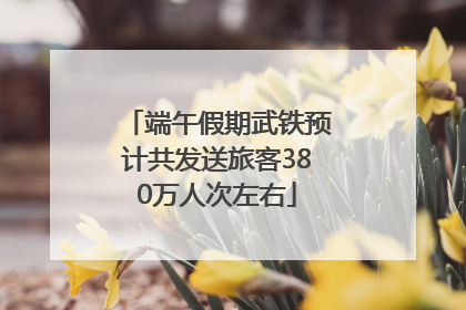 端午假期武铁预计共发送旅客380万人次左右