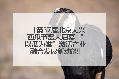 第37届北京大兴西瓜节盛大启幕 “以瓜为媒”激活产业融合发展新动能