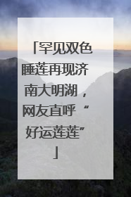 罕见双色睡莲再现济南大明湖，网友直呼“好运莲莲”