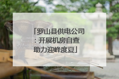 罗山县供电公司：开展机房自查 助力迎峰度夏