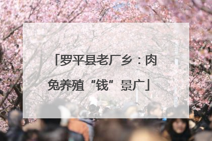 罗平县老厂乡：肉兔养殖“钱”景广