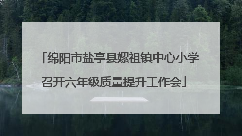 绵阳市盐亭县嫘祖镇中心小学召开六年级质量提升工作会