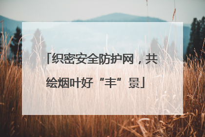 织密安全防护网，共绘烟叶好“丰”景