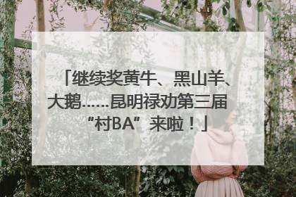 继续奖黄牛、黑山羊、大鹅……昆明禄劝第三届“村BA”来啦！