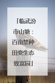 临武汾市山塘：百亩禁种田变生态致富园