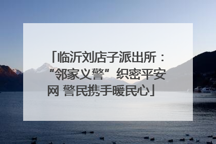 临沂刘店子派出所：“邻家义警”织密平安网 警民携手暖民心