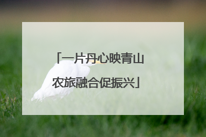 一片丹心映青山 农旅融合促振兴