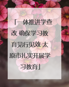 一体推进学查改 确保学习教育见行见效 太原市扎实开展学习教育