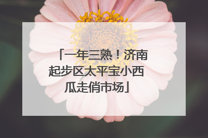 一年三熟！济南起步区太平宝小西瓜走俏市场