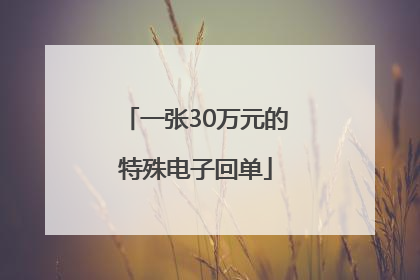 一张30万元的特殊电子回单