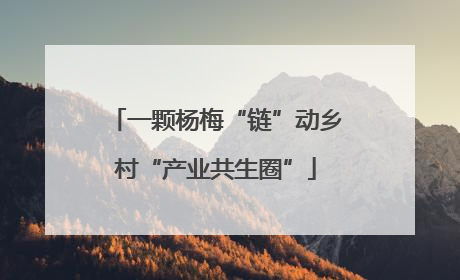 一颗杨梅“链”动乡村“产业共生圈”