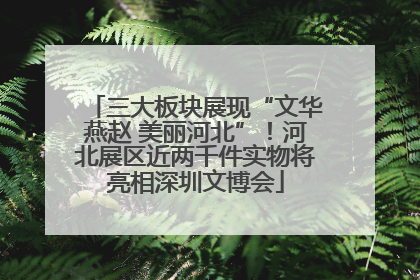 三大板块展现“文华燕赵 美丽河北”！河北展区近两千件实物将亮相深圳文博会