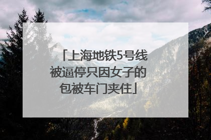 上海地铁5号线被逼停只因女子的包被车门夹住