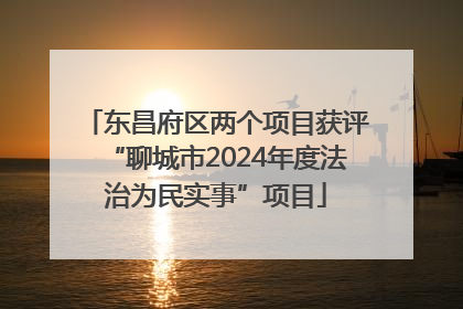 东昌府区两个项目获评“聊城市2024年度法治为民实事”项目
