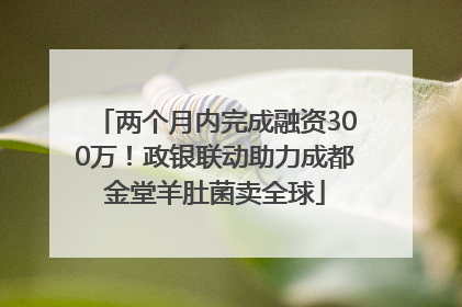 两个月内完成融资300万！政银联动助力成都金堂羊肚菌卖全球