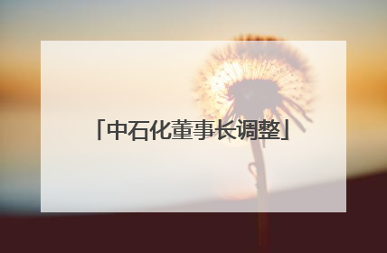 中石化董事长调整