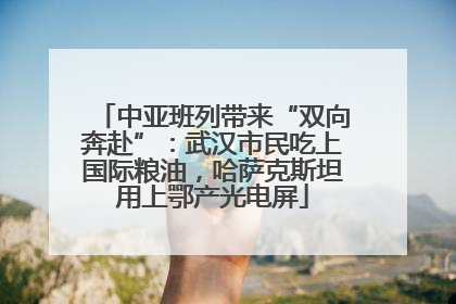 中亚班列带来“双向奔赴”：武汉市民吃上国际粮油，哈萨克斯坦用上鄂产光电屏